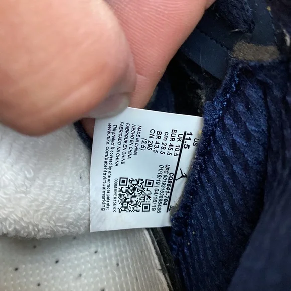 Michigan Jordan Retro
